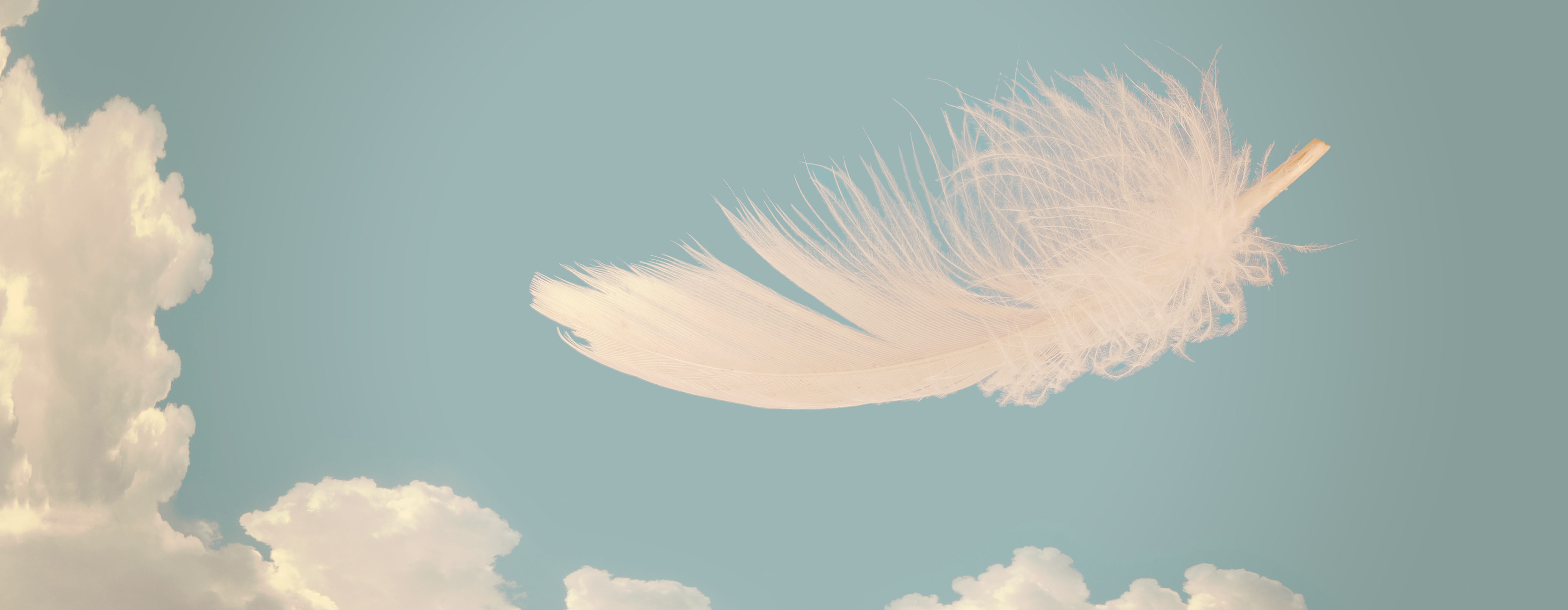 Feather floating in the sky